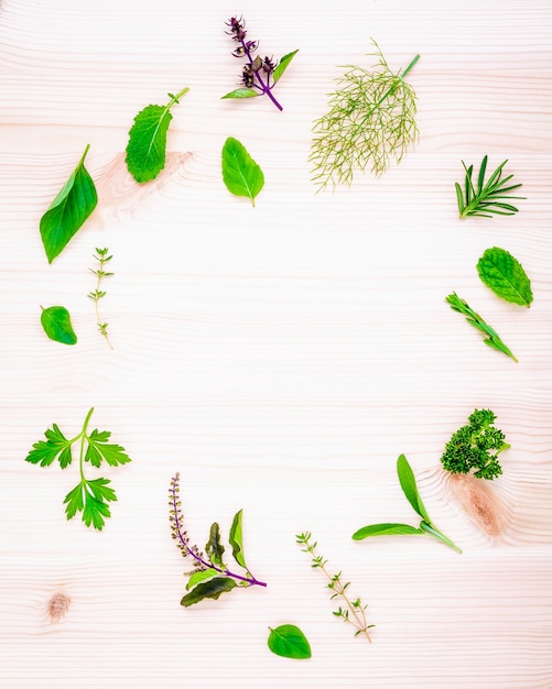 The circle of fresh herbs  set up on wooden background.