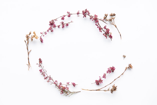 Circle from dried wild flowers