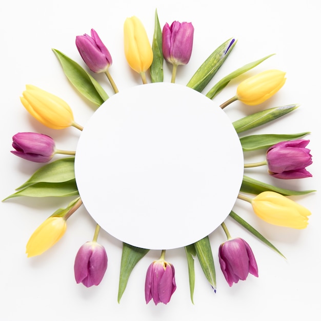 Photo circle on tulips