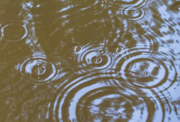 写真 水面の雨滴による円と筋