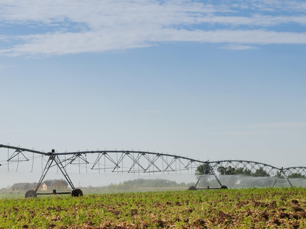 Circulaire irrigatiesysteem op het veld van de boerderij.