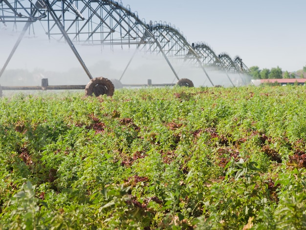 Circulaire irrigatiesysteem op het veld van de boerderij.