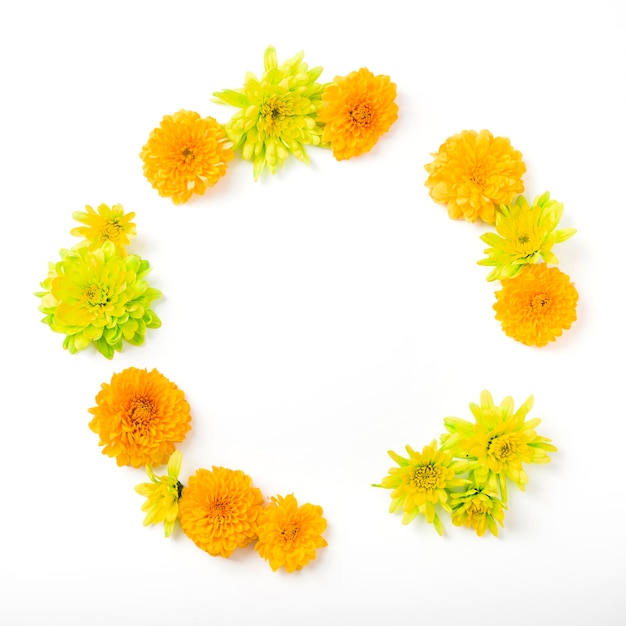 Photo circular frame made with chrysanthemum flowers on white background