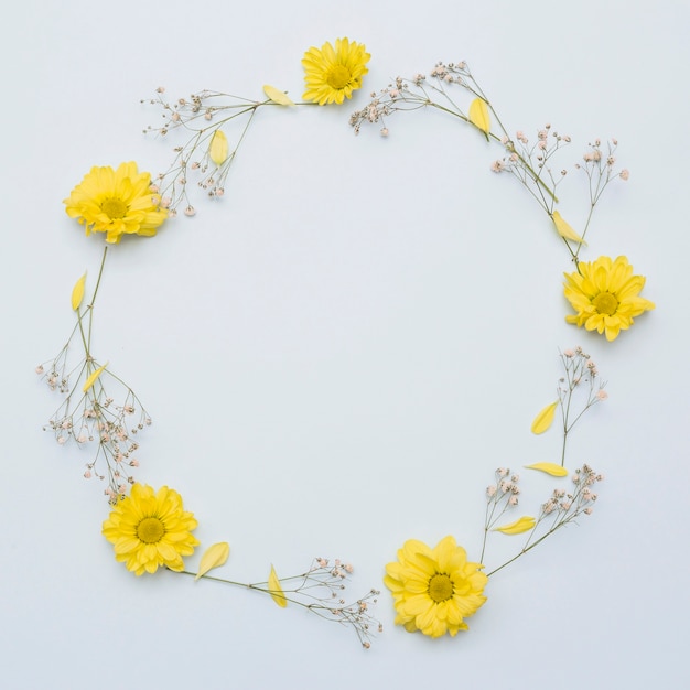 Photo circular frame made with yellow flowers isolated on white background