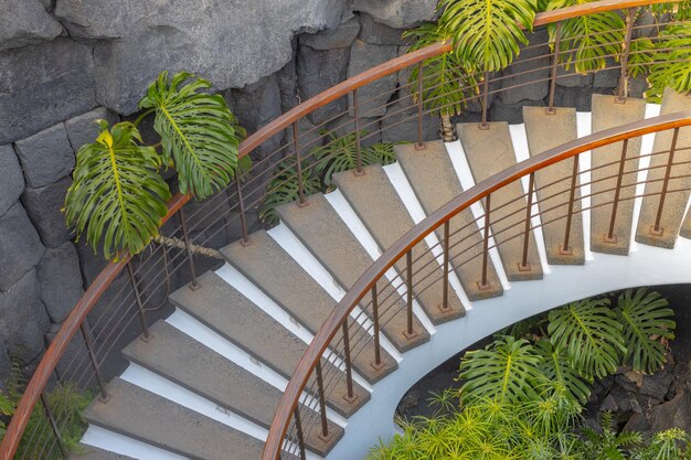 Circular staircase Architecture detail