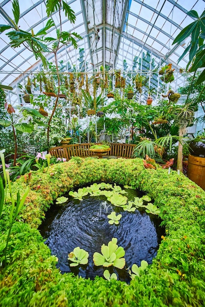 Cirkelvormige waterfontein omringd door mos met hangende planten op de achtergrond