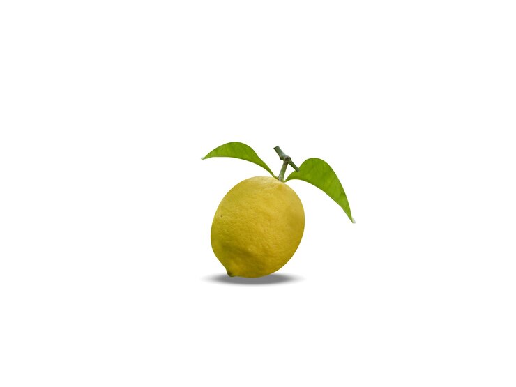 Foto citroen of citrus citroen op een geïsoleerde witte achtergrond