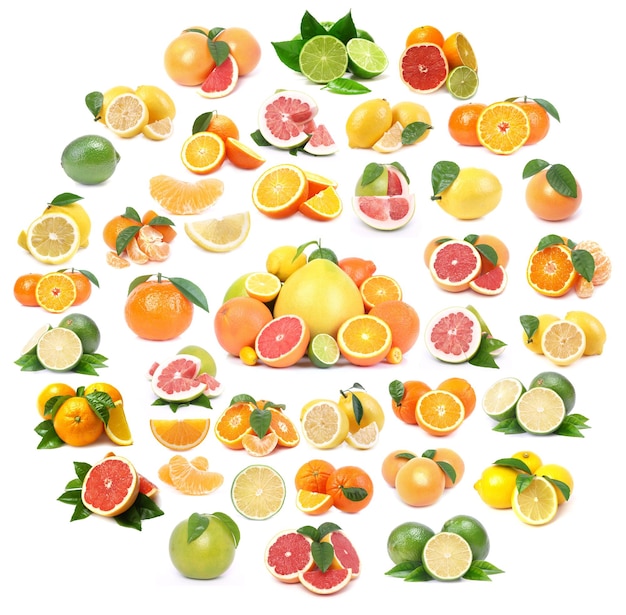 Citrus collectie