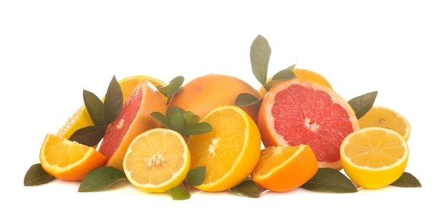 감귤류 과일. 레몬, 오렌지, 자몽의 잎을 가진 다양한 감귤류 과일
