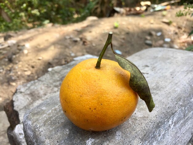 Photo citrus fruit with dry leaves