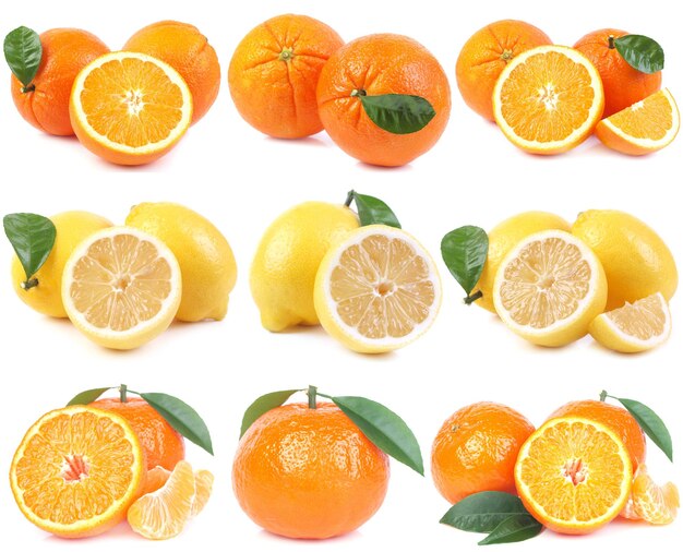 Citrus fruit