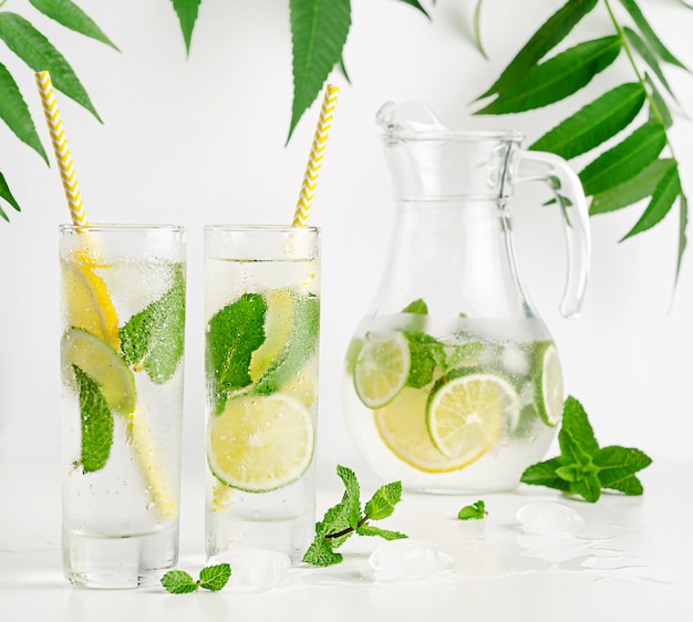 Citrus fruits iced lemonade. Refreshing drink with tonic and mint. Healthy drinking