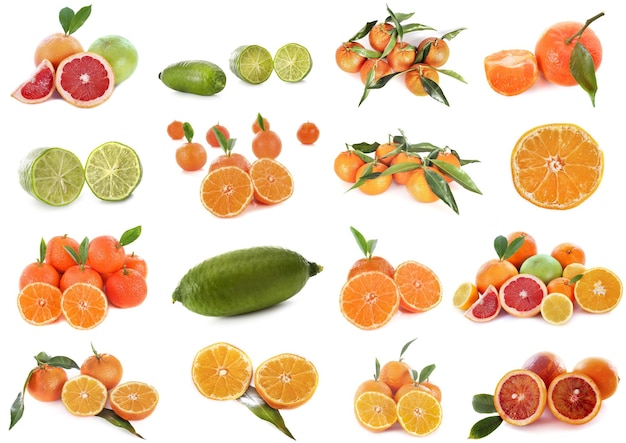 Citrus fruits in studio