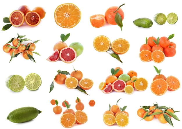 Citrus fruits in studio