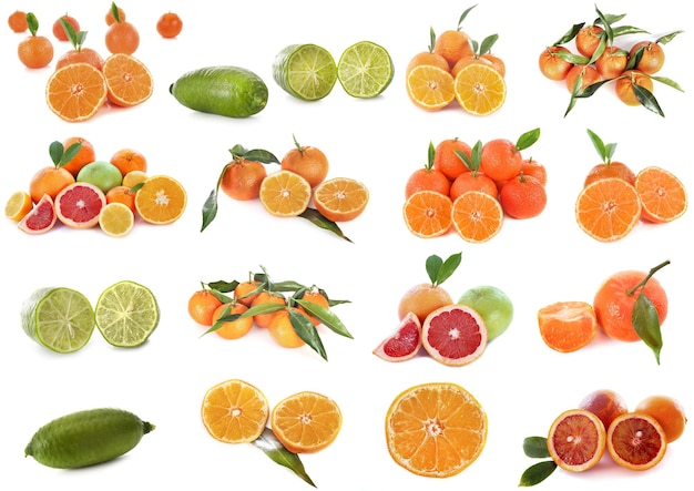 Citrus fruits in studio