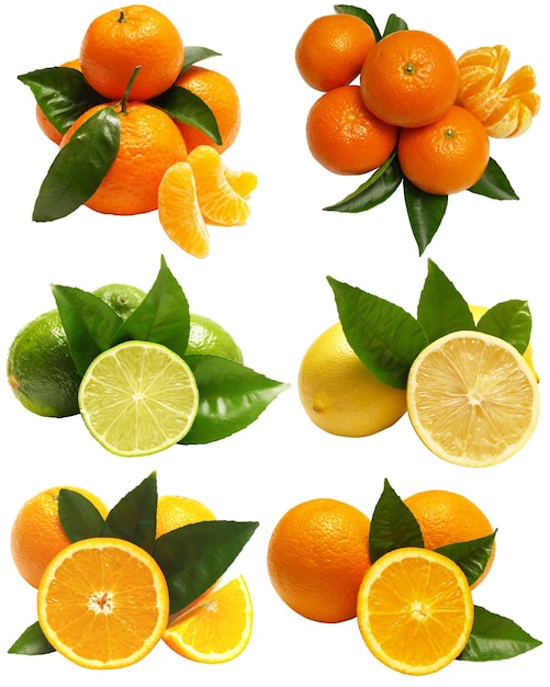 Citrus fruits