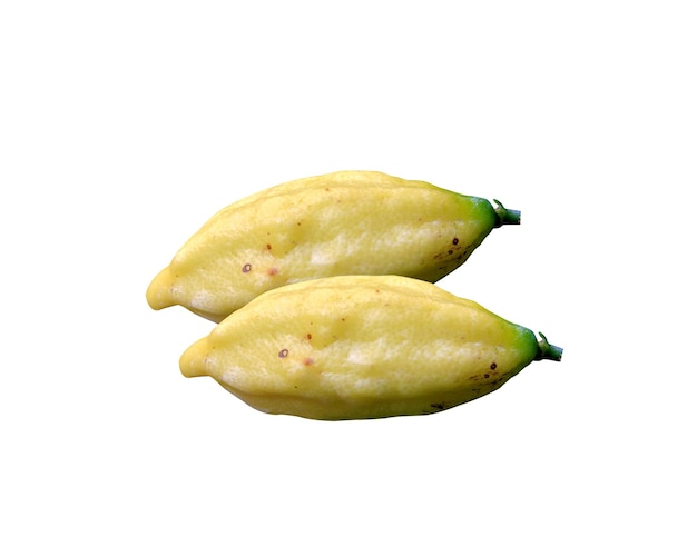 Citrus inodora Microcitrus inodora Russell River Lime is a fruits native to Queensland Australia