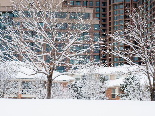 City after the fresh snow.