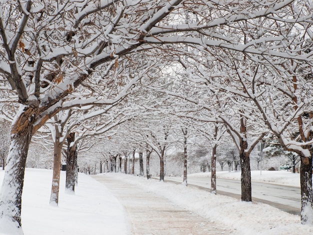 City after the fresh snow.