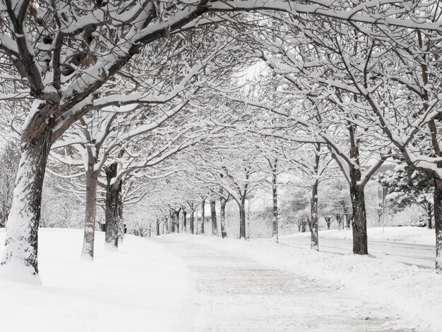 City after the fresh snow.