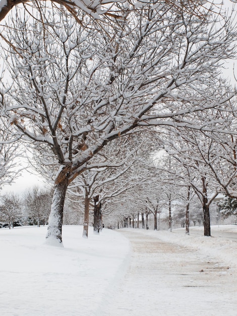 City after the fresh snow.