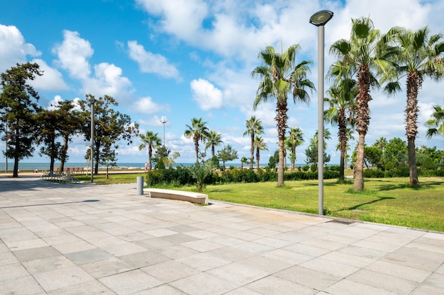 City alley with palm trees along the seashore