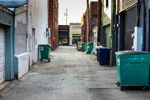 City alley with trash dumpsters and garbage cans