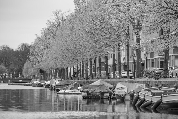 Foto la città di den haag nei paesi bassi