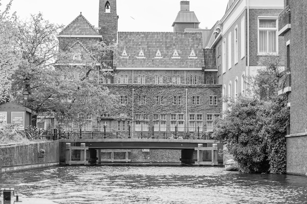 Photo the city of den haag in the netherlands