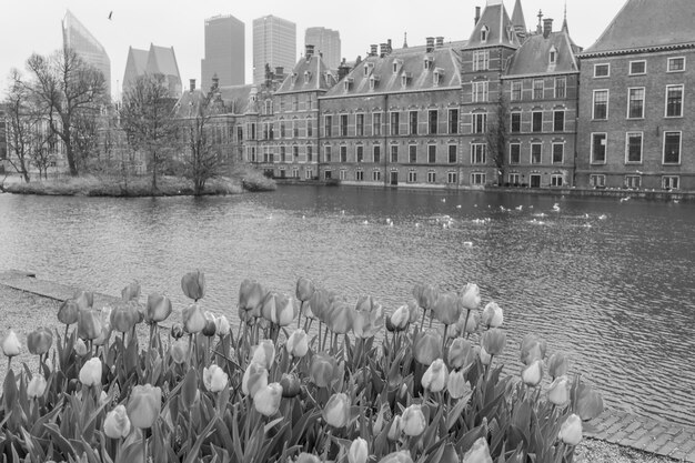 Photo the city of den haag in the netherlands