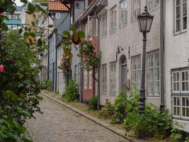 The city of flensburg at the baltic sea