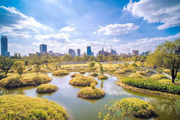 도시 삼림 공원