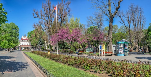 City garden in Odessa during the war in Ukraine