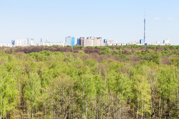 Город и зеленый лес в солнечный день