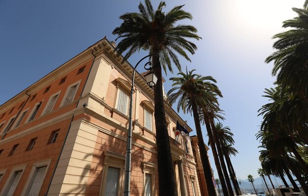 The city hall of Ajaccio framed by palm fronds Corsica island France