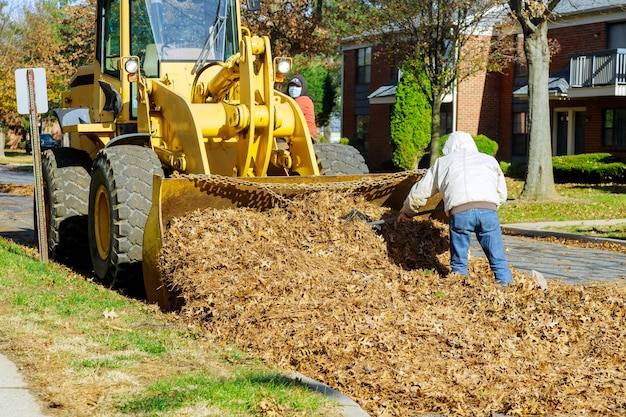 The city improvement team on cleaning in the foliage is man loaded into a tractor