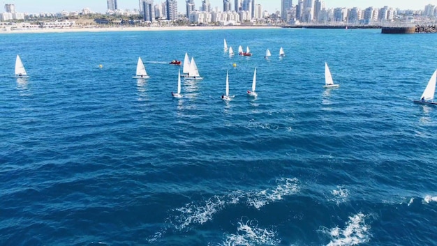 A city is seen in the background with sailboats in the water.