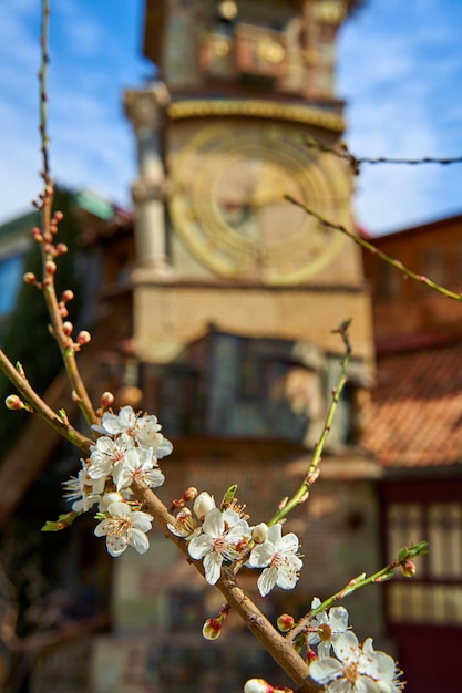 City landmark of Tbilisi Old puppet theater