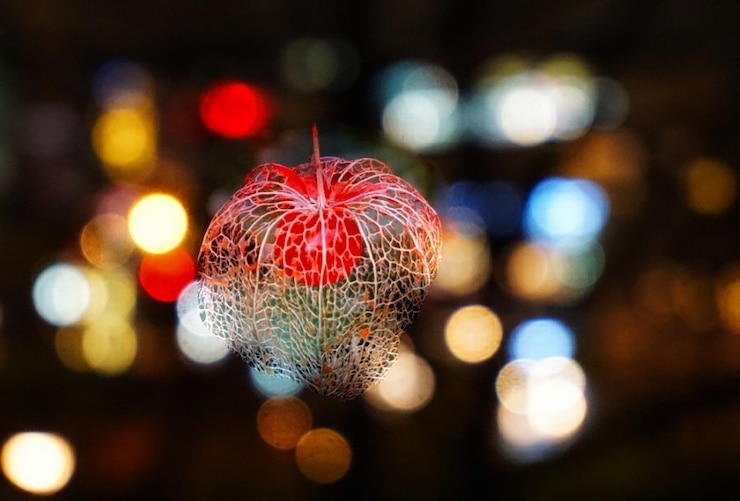 Photo city lights