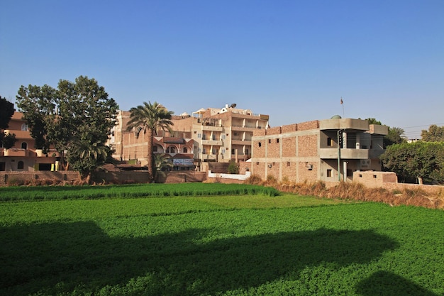 The city of Luxor on the Nile river in Egypt