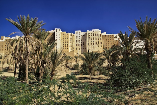 The city of medieval skyscrapers, Shibam, Wadi Hadramaut, Yemen