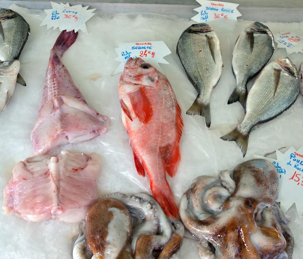 ニース市の魚市場