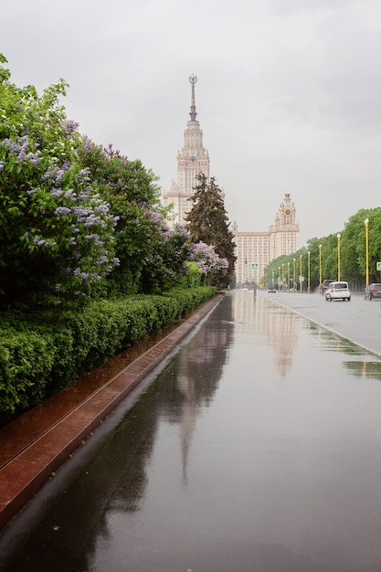 Фото Город москва, вид на ломоносовский университет, мга, цветущие сады и сирень, дождь в москве