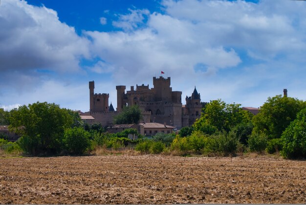 City of olite. navarra. spain