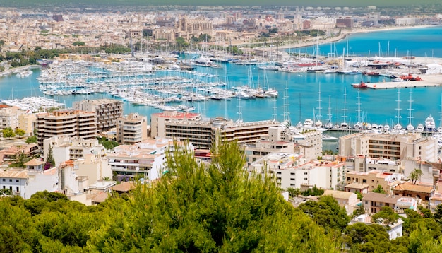 City of Palma de Mallorca in Majorca Balearic island