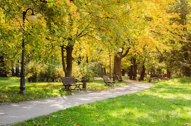 秋の都市公園秋の風景晴天の美しい秋の公園