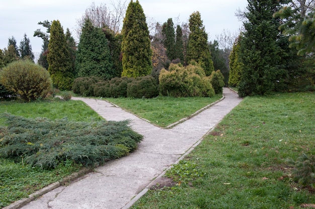 In a city park, autumn