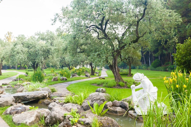 都市公園。美しい公園のパノラマ