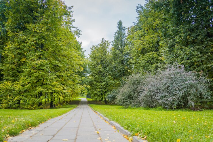 Фотография city park road