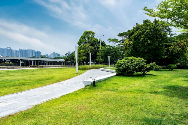 写真 都市公園広場と道路